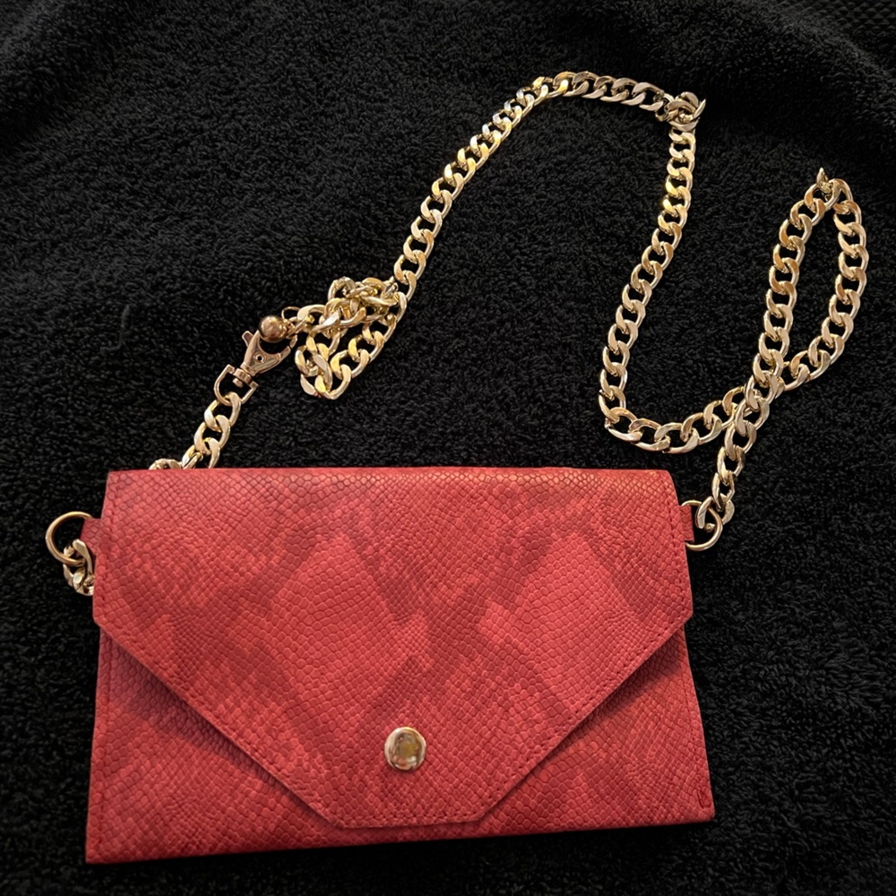 Small gold chain crossbody…new never used
